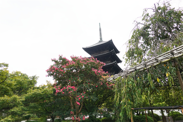 DSC09660_R