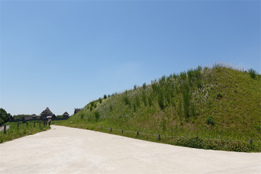 DSC07965_R