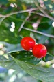 DSCF5430_R