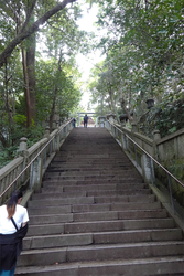 DSC09528_R