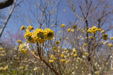 DSC05946_R
