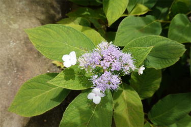 DSC09174_R