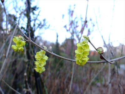 DSCF4729_R