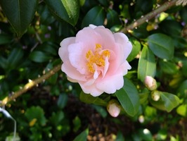 DSCF7861_R