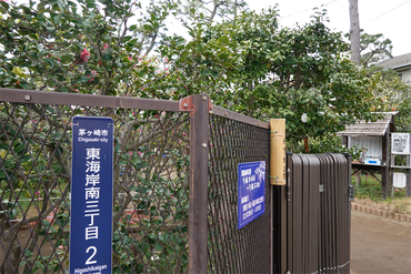 DSC06141_R