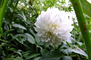 DSCF4929_R