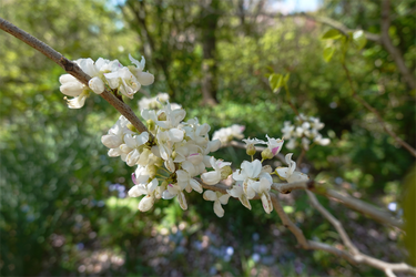 DSC06610_R