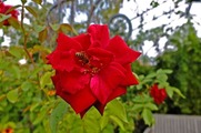 DSCF5845_R
