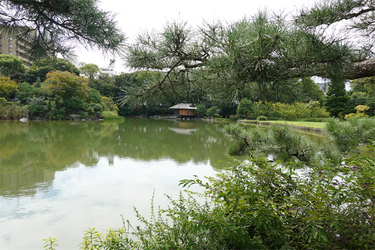 DSC09945_R