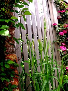 DSCF2841_R