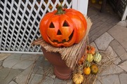 DSCF6408_R