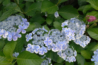 DSC08405_R