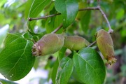 DSCF2707_R