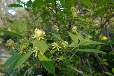 DSC06742_R