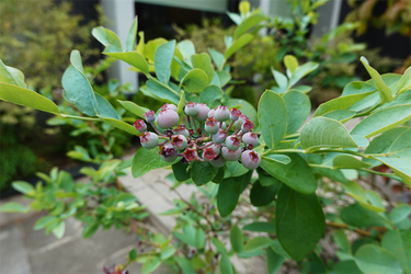 DSC08243_R