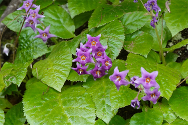 DSC08648_R