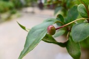 DSCF5081_R