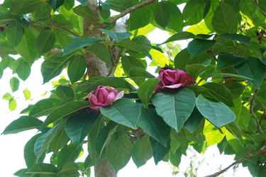 DSC08797_R