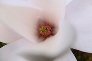 DSCF1817_R