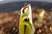 DSCF1465_R