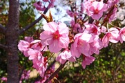 DSCF1921_R