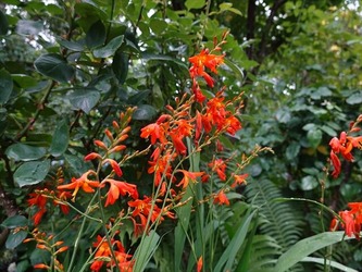 DSC01177_R