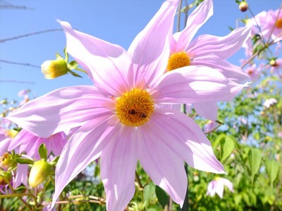 DSCF0164_R