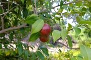 DSCF4198_R