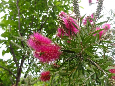 DSCF3098_R