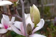 DSCF1815_R