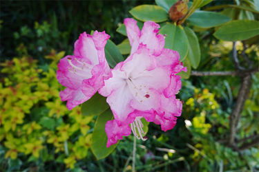 DSC06818_R