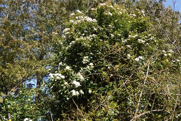 DSC05843_R