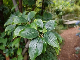 DSC01242_R