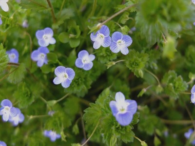 DSCF4612_R