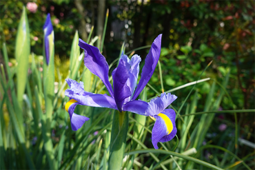 DSC06368_R
