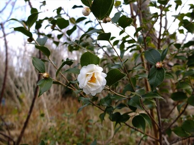 DSCF0938_R