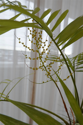 DSC06327_R