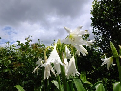 DSCF4572_R