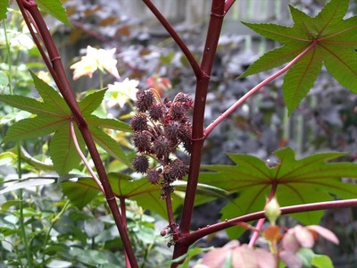 DSCF1547_R