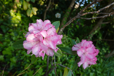 DSC06816_R