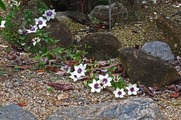 DSCF4078_R