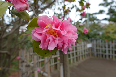 DSC05978_R