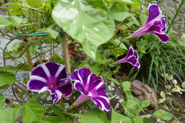 DSC09103_R