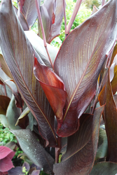 DSC08955_R