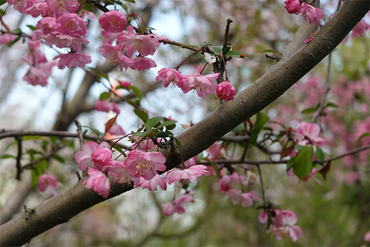 DSC06431_R