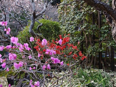 DSCF1164_R