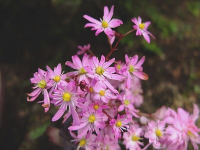 DSCF9018_R