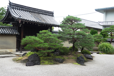 DSC09696_R