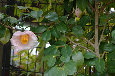 DSC05709_R