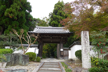 DSC03600_R